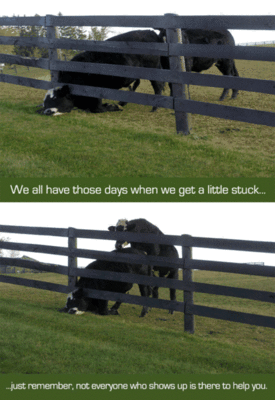 !cid__1_049D9920049D953800653B368625742F.gif