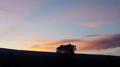 4_20171111_061643.jpg