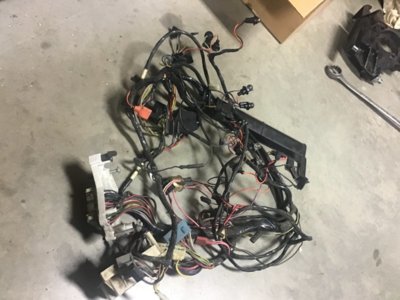 6F02E69A-01C6-4948-B7BB-75188FA7D399.jpeg