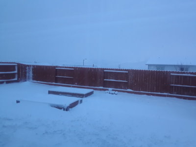 20190121_074336.jpg