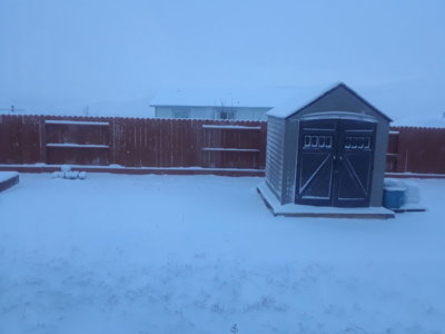 20190121_074352.jpg