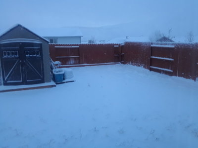 20190121_074447.jpg