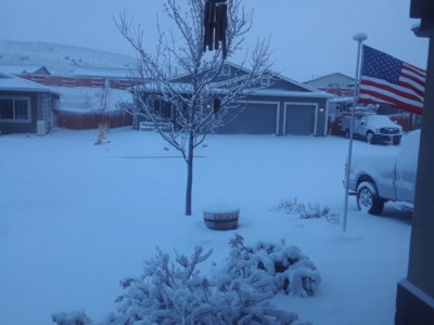 20190121_074615.jpg