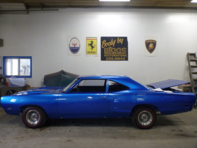 beerestoration2019 597.JPG