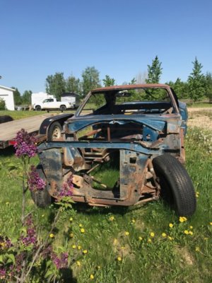 IMG_0187.JPG IMG_0187.JPG