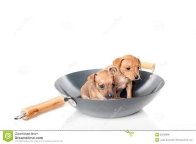 images (14).jpeg