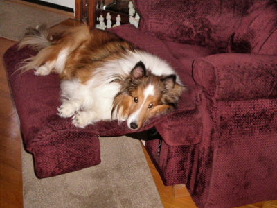 Picture 976.jpg