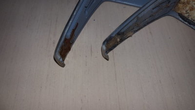 20190204_184019.jpg