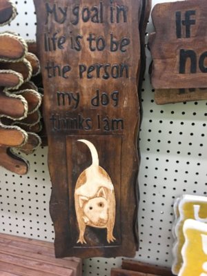 dog.JPG