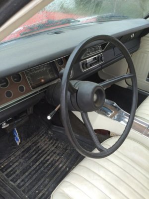 71668921-0418-4A70-B57B-CE8776F6495E.jpeg 71668921-0418-4A70-B57B-CE8776F6495E.jpeg