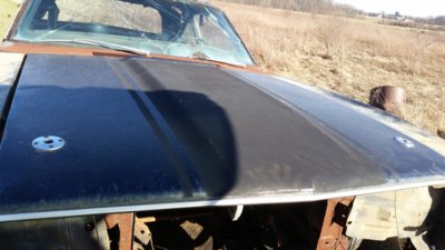 20170311_163324.jpg 20170311_163324.jpg