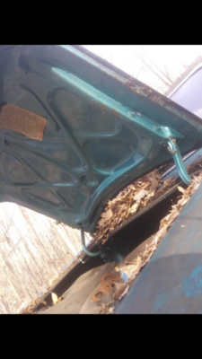 4E1D8653-33C9-4ABF-9776-5ACC3723DD64.png 4E1D8653-33C9-4ABF-9776-5ACC3723DD64.png