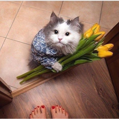 Screenshot_2019-02-10-11-01-59-1.png Screenshot_2019-02-10-11-01-59-1.png