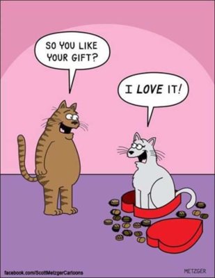 FB_IMG_1550162046910.jpg FB_IMG_1550162046910.jpg