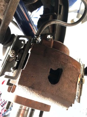 IMG_8055.jpeg IMG_8055.jpeg