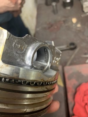 1E63A89A-3AAD-4496-8FBA-735BC8630463.jpeg 1E63A89A-3AAD-4496-8FBA-735BC8630463.jpeg