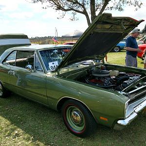 green dart (4).JPG