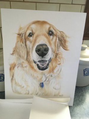 006E5CE8-AA52-49DC-A709-DF2163F5BF6F.jpeg 006E5CE8-AA52-49DC-A709-DF2163F5BF6F.jpeg