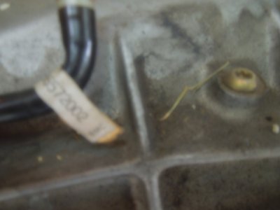 viper trannypickup55DSCN5122010215.JPG