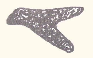 1285605068587_63-72%20trunk.jpg 1285605068587_63-72%20trunk.jpg