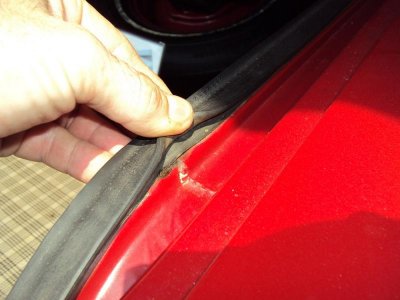 DSC04854.jpg DSC04854.jpg