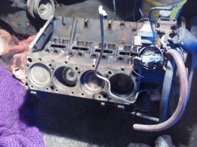 IMG_20190215_110839.jpg IMG_20190215_110839.jpg