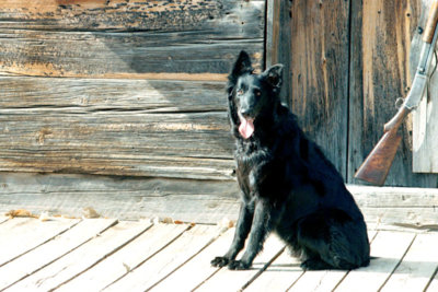 Deputy Apple.jpg Deputy Apple.jpg