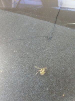 20170316_142801.jpg 20170316_142801.jpg