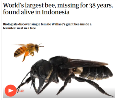 upload_2019-2-24_19-48-2.png upload_2019-2-24_19-48-2.png