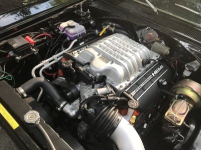 IMG_0240_2.jpg IMG_0240_2.jpg