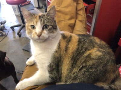 DpiYsx6eTfGWNgeobITnJA.jpg DpiYsx6eTfGWNgeobITnJA.jpg