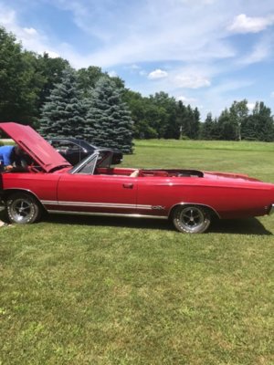 3DE4DAD6-C5A9-4175-B719-537AFD0646A7.jpeg 3DE4DAD6-C5A9-4175-B719-537AFD0646A7.jpeg