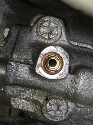 AD55FE5D-77D6-476B-9922-B57ADFF56203.jpeg AD55FE5D-77D6-476B-9922-B57ADFF56203.jpeg