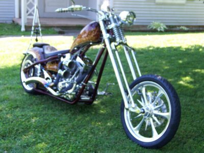 new springer 028.jpg new springer 028.jpg