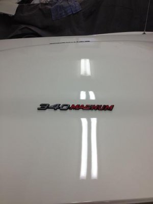 73 charger a.JPG