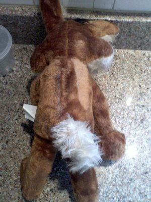 18 inch Wile E 004.jpg 18 inch Wile E 004.jpg