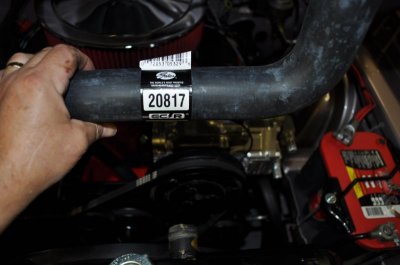 front half.jpg front half.jpg