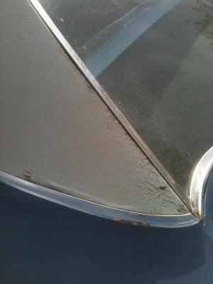 487095_4377860161355_767494718_n.jpg 487095_4377860161355_767494718_n.jpg