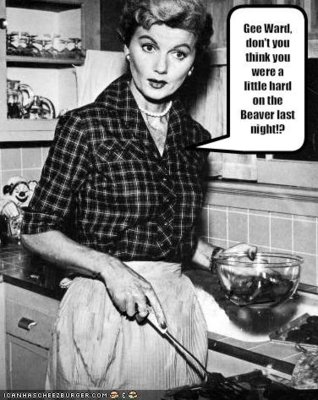 beaver.jpg beaver.jpg