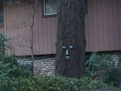 17F4A10B-24B3-48CF-BC41-E818B0AA3713.jpeg 17F4A10B-24B3-48CF-BC41-E818B0AA3713.jpeg