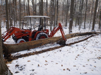 firewood2018 014.JPG