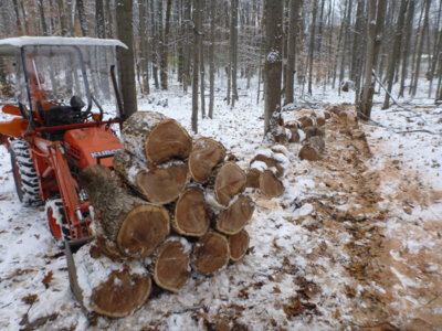 firewood2018 020.JPG