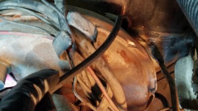 20190317_155101.jpg 20190317_155101.jpg