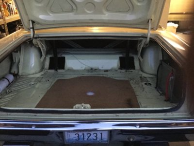 A10391CE-0BF7-430C-8393-05110EB99573.jpeg A10391CE-0BF7-430C-8393-05110EB99573.jpeg