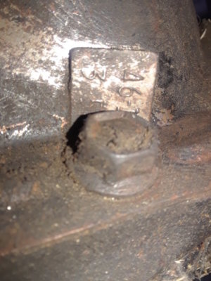 dana 304.jpg