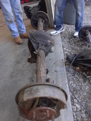 dana 305.jpg