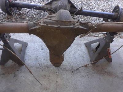 dana 306.jpg