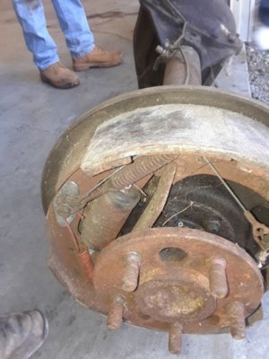 dana 307.jpg