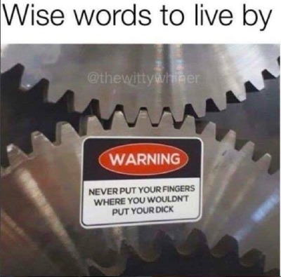 tumblr_pos0kyxvrY1sop1cb_540.jpg