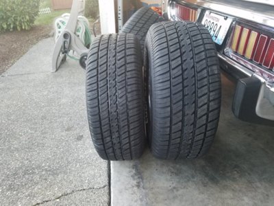 20190319_185941.jpg 20190319_185941.jpg